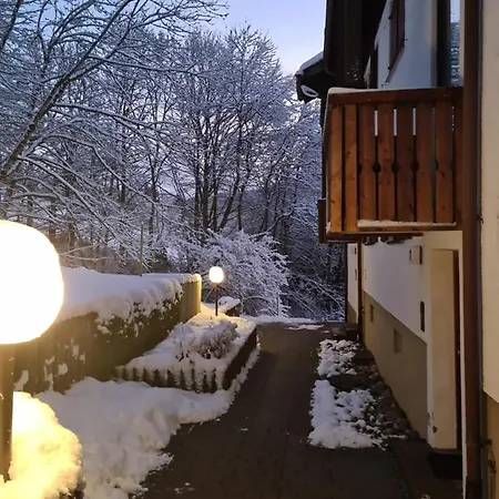 Mit Pool Und Sauna Apartment Missen-Wilhams
