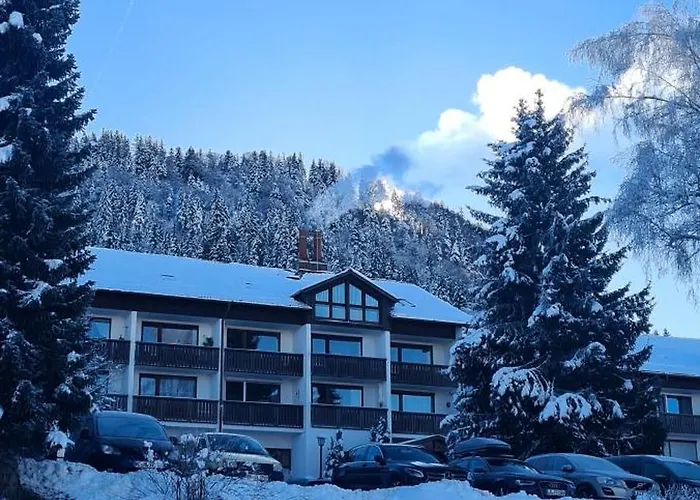 Mit Pool Und Sauna Missen-Wilhams